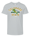 Colorado State Estd 1870 March Madness Premium Youth T Shirt