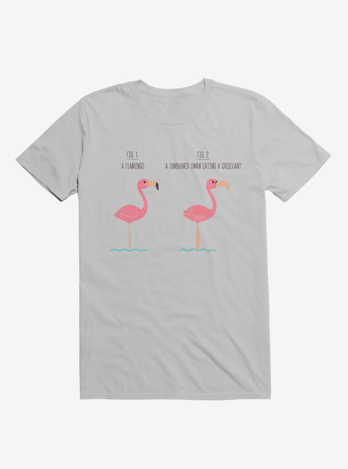Know Your Birds A Flamingo Or Sunburned Swan Ice Grey T Shirt T Shirt Trending US