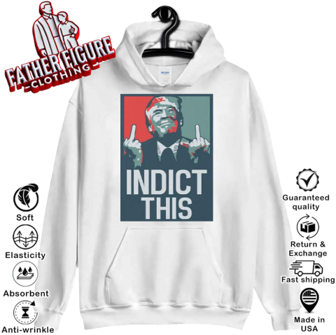 Alina Habba Trump Indict This Hoodie