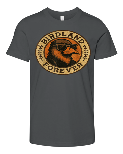 Birdland Forever Cool Retro Oriole Premium Youth T Shirt