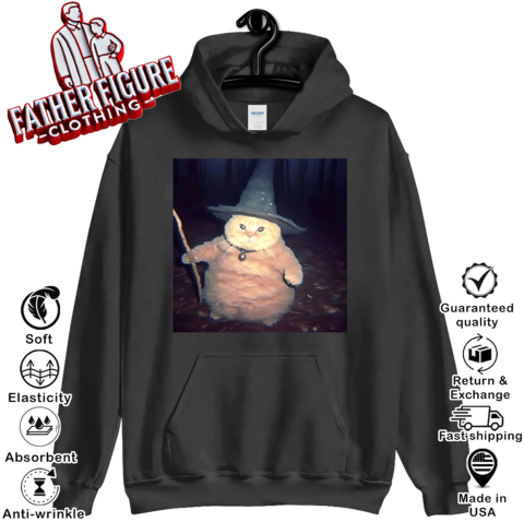 Cheeseball The Wizard Cat Meme Hoodie