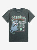 Disney Pocahontas Meeko Biscuits Girls TShirt Graphic Tee | Graphic Tee | Unisex Shirt | Top Trending Fashion