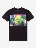 Shrek Smirk Panel TShirt Graphic Tee | Graphic Tee | Unisex Shirt | Top Trending Fashion