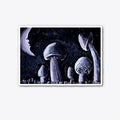 Moonshrooms Apparel Viral TikTok Find Everyday Wear