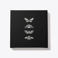 Butterfly and friends Apparel Viral TikTok Hot Right Now