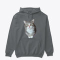 Just Winky Sweater | Premium Unisex T-Shirt