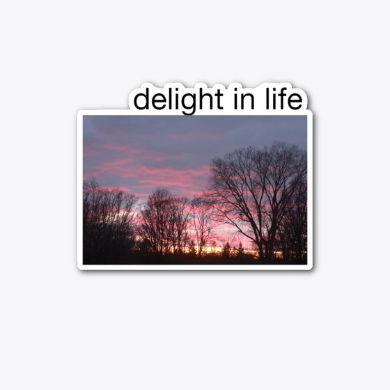 Delight in Life