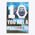 You are a Perfect 10 | Premium Unisex T-Shirt, Trending Graphic Tee
