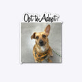 Opt To Adopt Graphic T Shirt