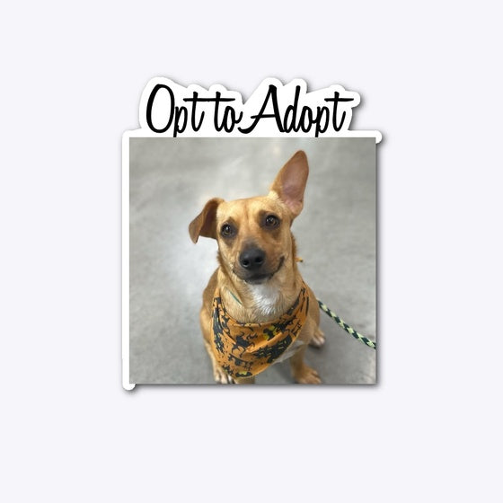 Opt To Adopt Graphic T Shirt