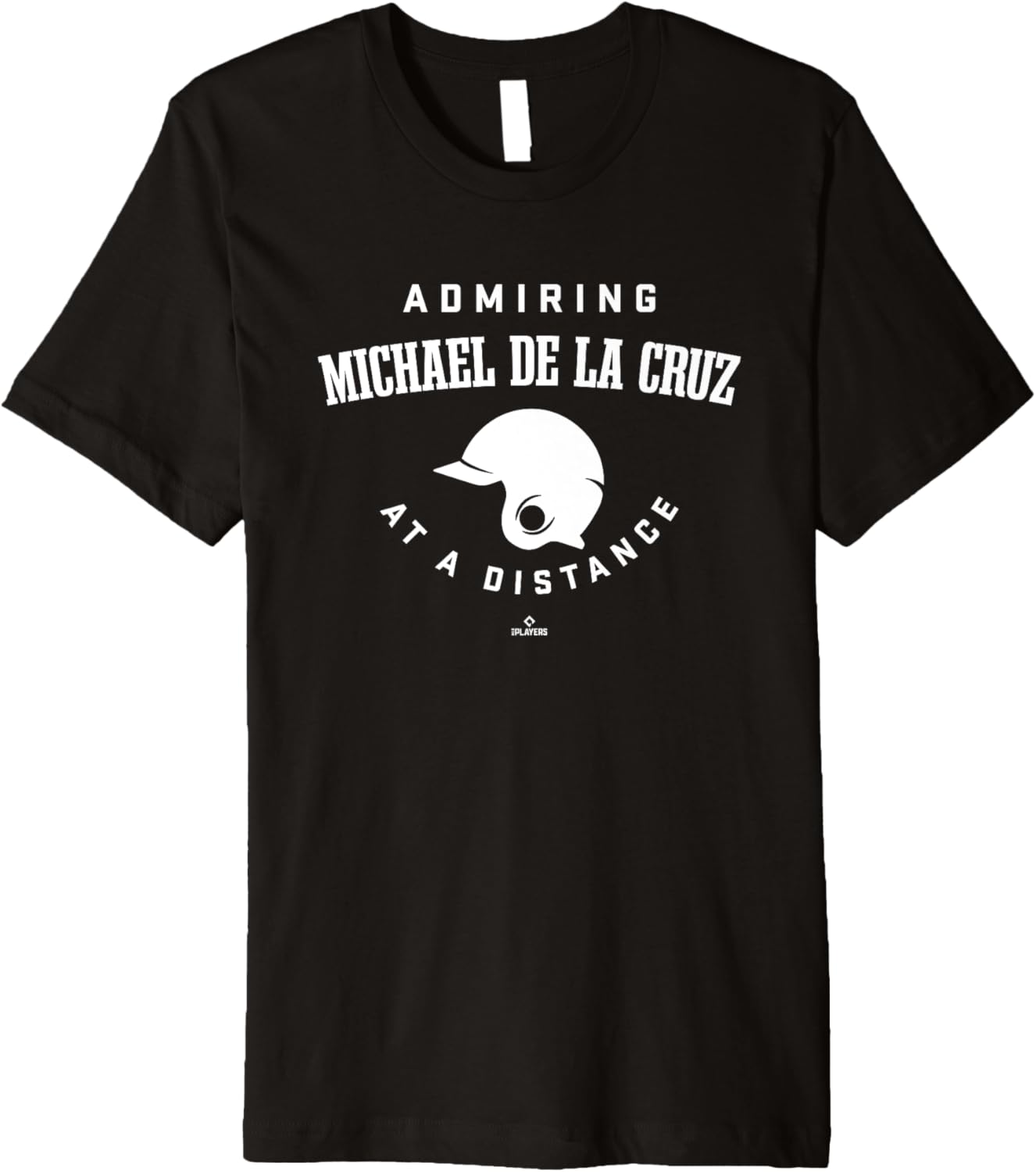 Admiring at a Distance Michael De La Cruz Prospect Baseball Premium