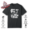 Aint No Big 3 It039S Just Big Thee T Shirt