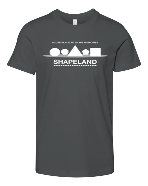 Acute Place To Shape Memories Shapeland Premium Youth T Shirt
