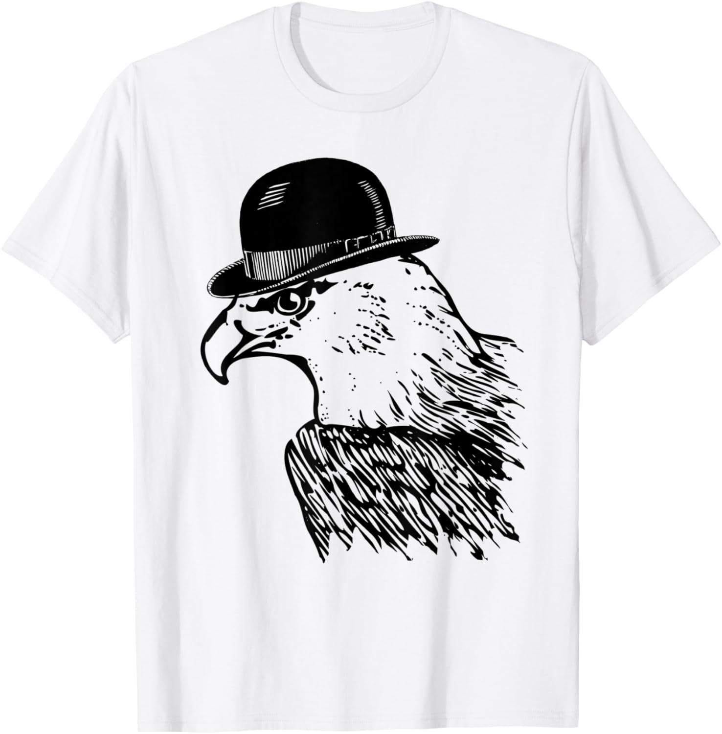 American Bald Eagle Bird