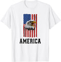 Bald Eagle, USA, flag USA