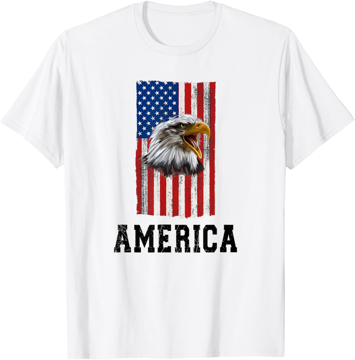 Bald Eagle, USA, flag USA