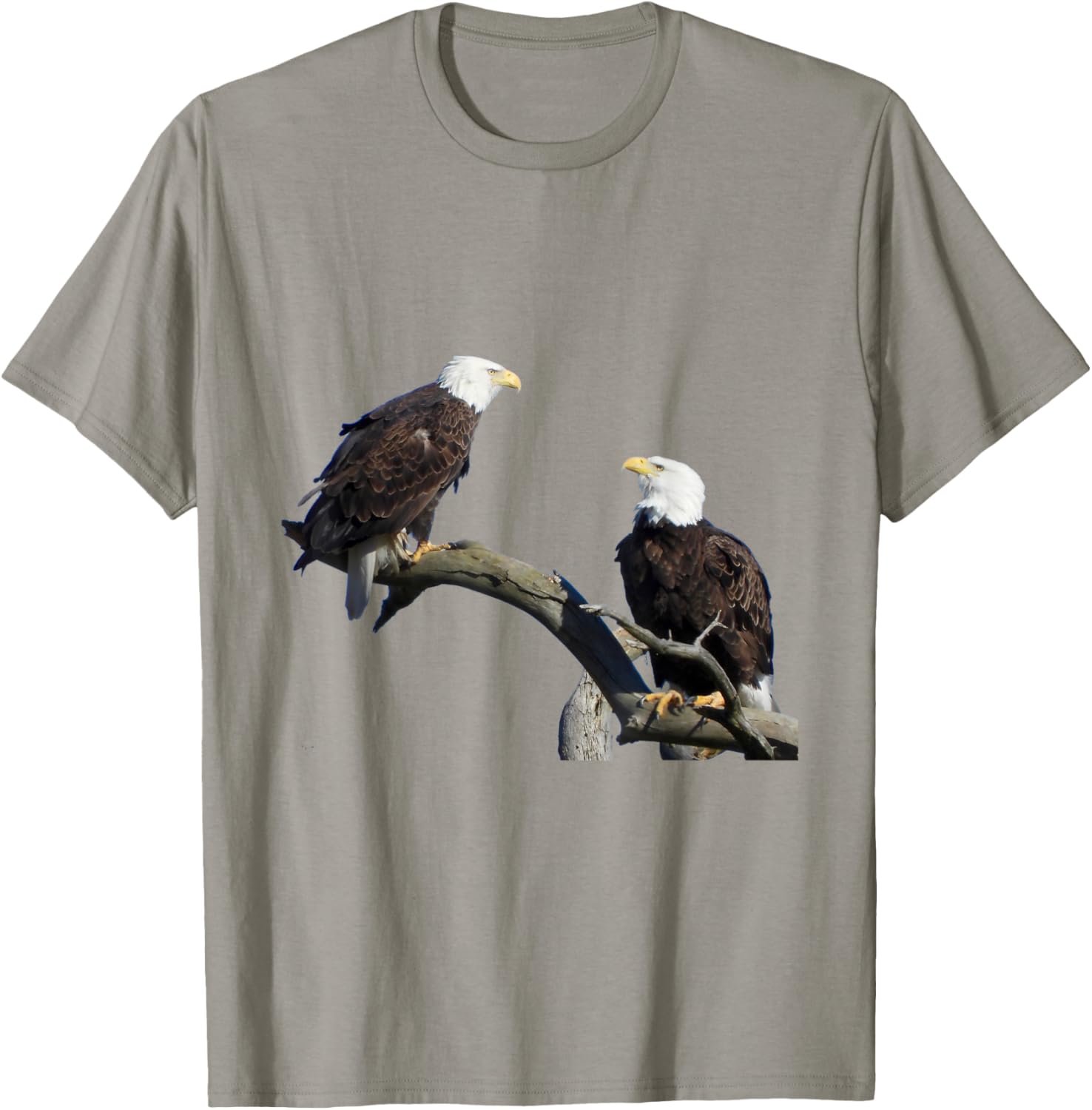 Eagles, American Bald