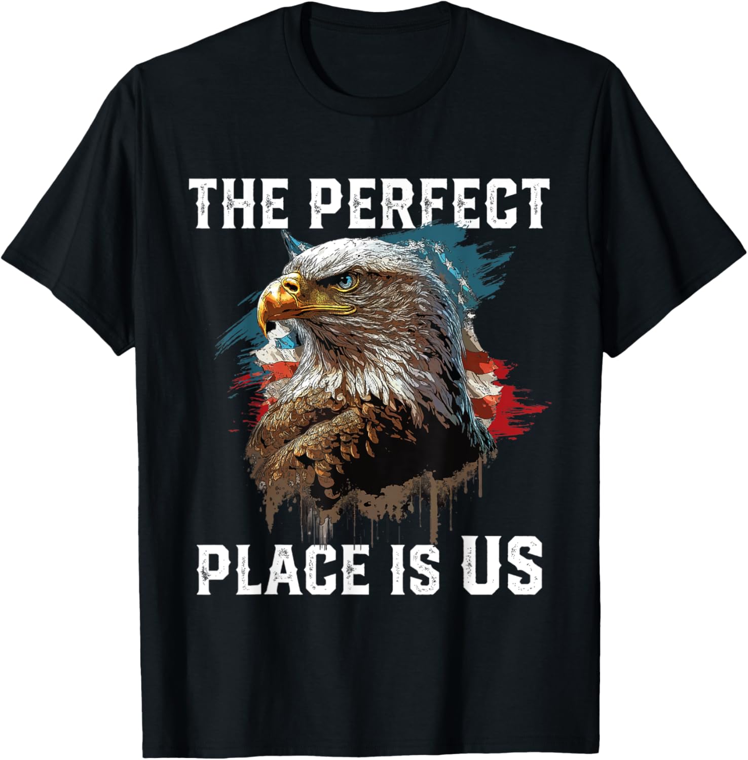 The Perfect Place Is US American Bald Eagle America USA