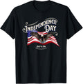 American Eagle American Flag Independence Day