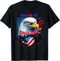 This Is My Pride Flag USA American 4th of July eagle Groovy