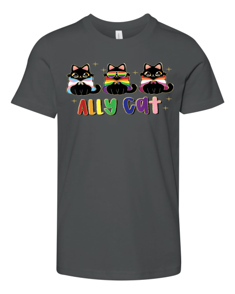 Ally Cat Rainbow Lgbt Pride Flag Gay Pride Month 2025 Premium Youth T Shirt