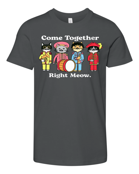 Cat Funny Noble Cat Come Together Right Meow Premium Youth T Shirt