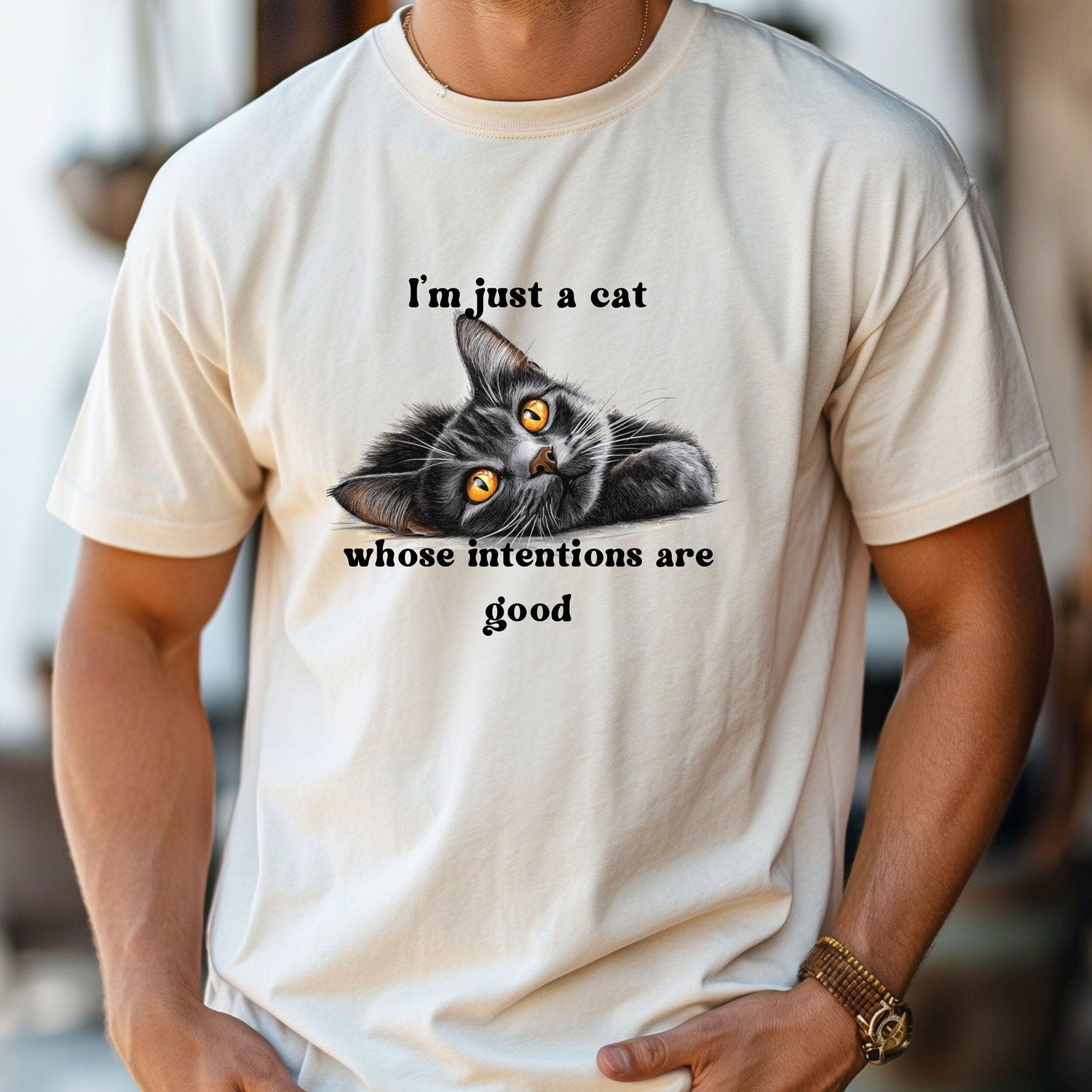 Funny Cat Graphic T-Shirt | Cat Lover Song Lyrics Tee | Gift for Music Fans