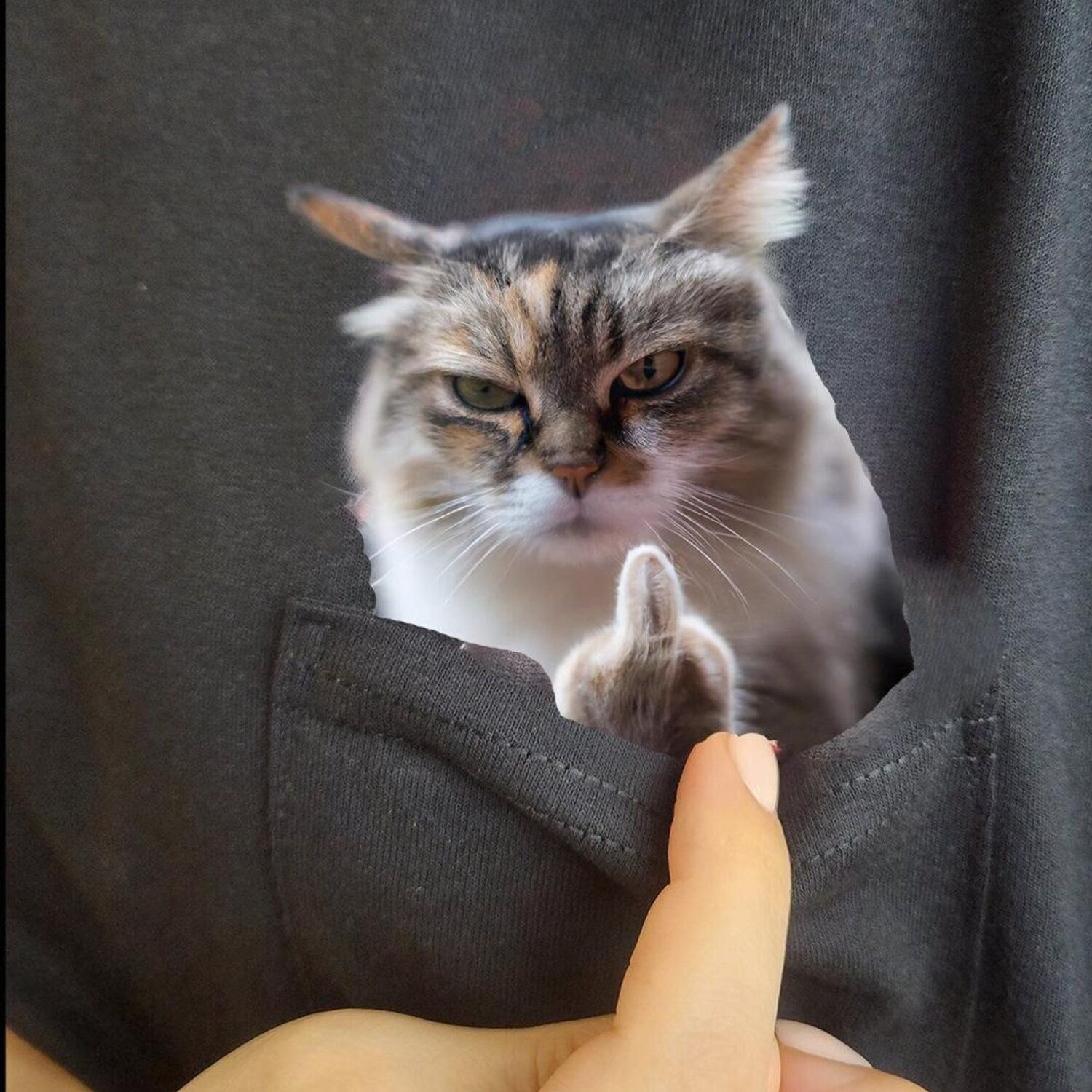 Humor Cat Hidden Middle Finger Pocket - Funny Cat Print - Cat Lover T-shirt Unique Gift Idea - Funny Cat T-shirt