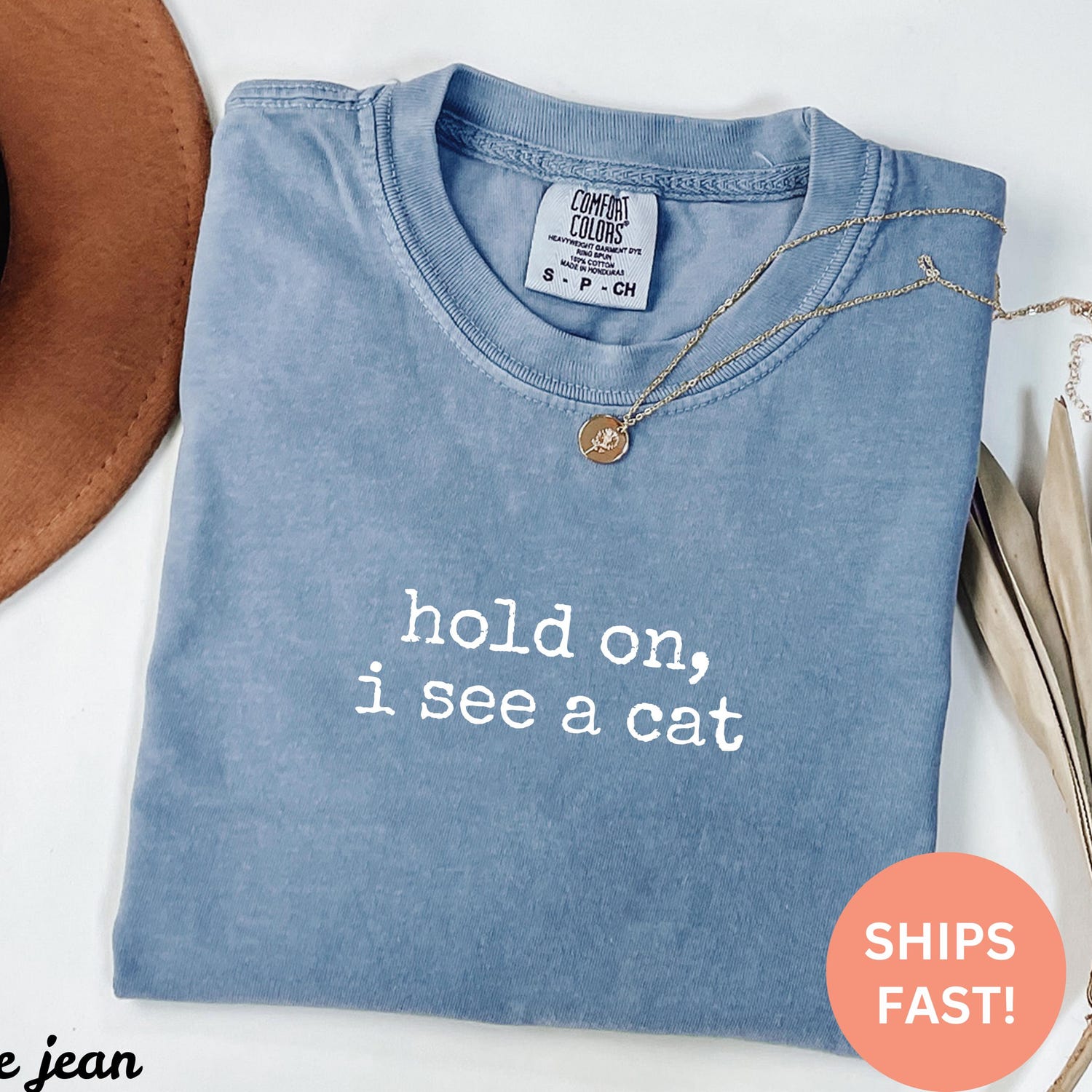 Comfort ColorsÂ® Hold On I See A Cat Shirt, Cat Lover Gift, Pet Parent Humor, Feline Friend, Cat Person, Trendy Women's Tshirt, Cat Mom
