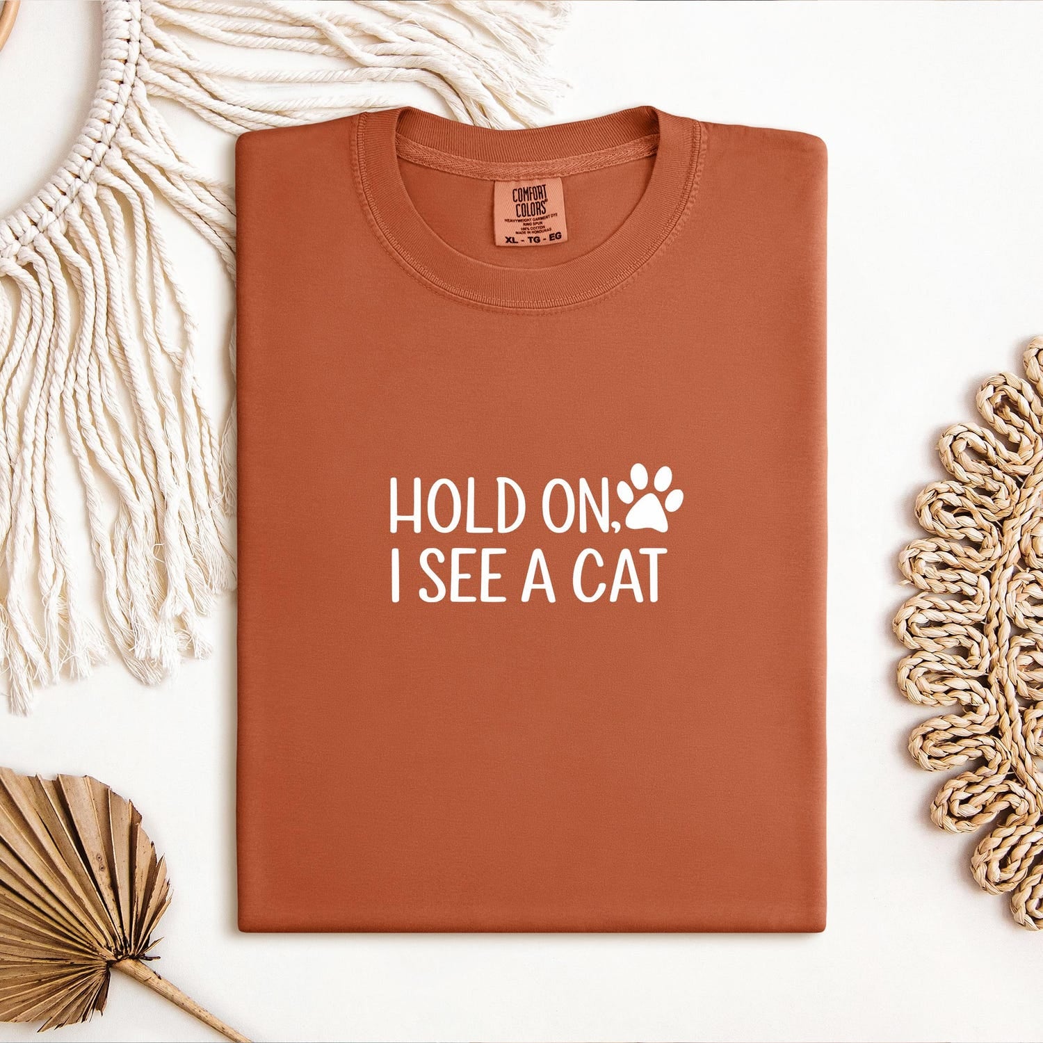 Funny Cat Shirt | Hold On I See A Cat | Comfort Colors Pet Lover Crewneck Gift