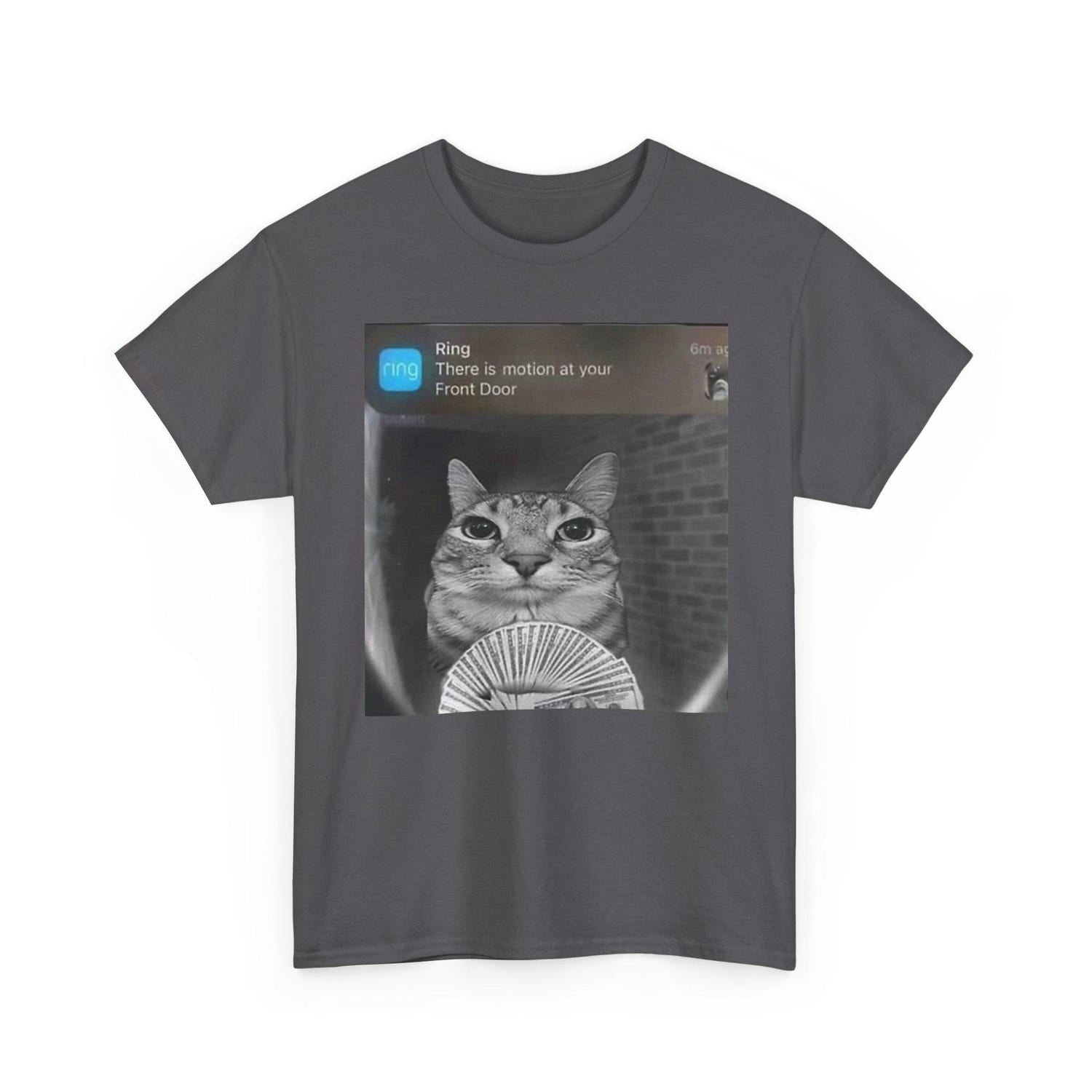Money Spread Cat Funny Shirt - Get Rich Quick Motivation Unisex Tee