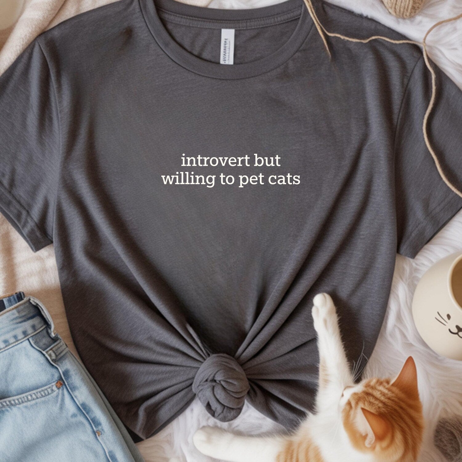 Funny Cat Lover Shirt - Introvert Willing to Pet Cats Tee, Cute Cat Mom Gift