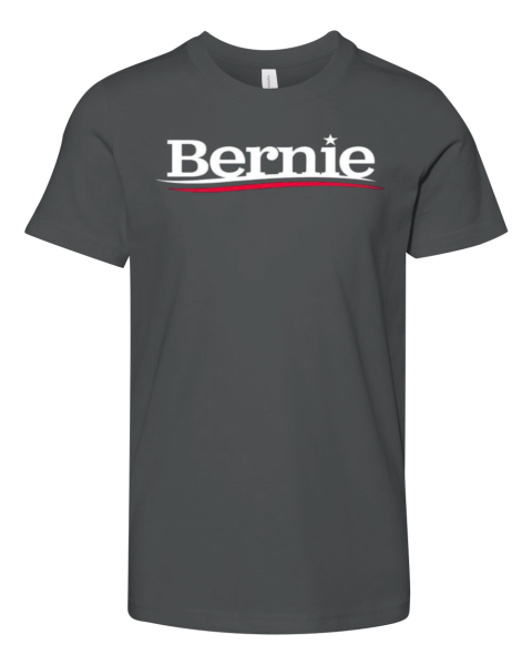 Bernie Sanders Shirt Fighting Oligarchy Premium Youth T Shirt