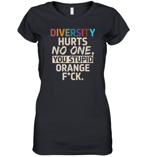 Diversity Hurts No One You Stupid Orange Fuck Women039S V Neck T Shirt