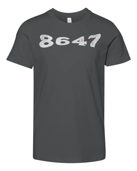 8647 Shirt Retro Subtle Anti Trump Premium Youth T Shirt