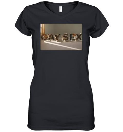 Cat Gay Sex Women039S V Neck T Shirt