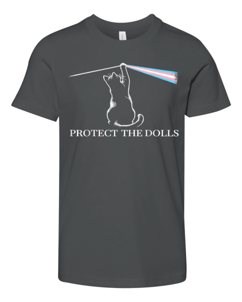 Cat Rock Music Trans Pride Protect The Dolls Premium Youth T Shirt