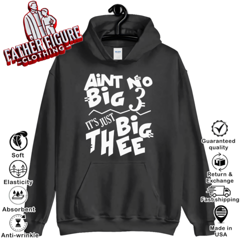 Aint No Big 3 It039S Just Big Thee Hoodie