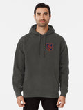 Legacies - Salvatore Boarding School Crest Pullover Hoodie vintage style, soft and comfortable