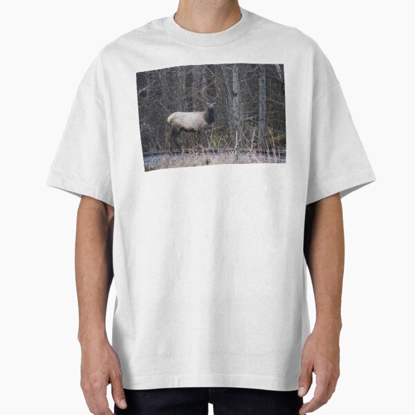 Staring Contest - Wilderness Edition Oversized T-Shirt for Sale by kelseyruiz