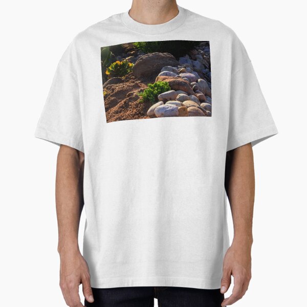 Rocky Nature Oversized T-Shirt for Sale by heatherfriedman