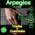 Todos los Arpegios de BAJO Apparel High Search Demand Everyday Wear