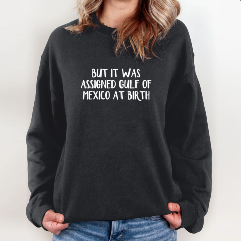 But It Was Assigned Gulf Of Mexico At Birth Sweatshirt