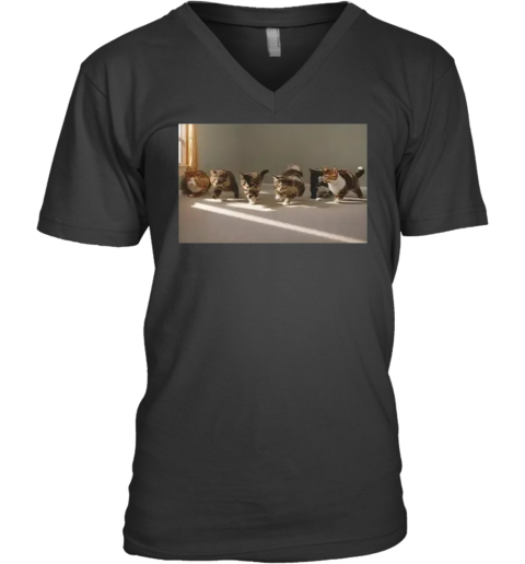 Cat Gay Sex V Neck T Shirt