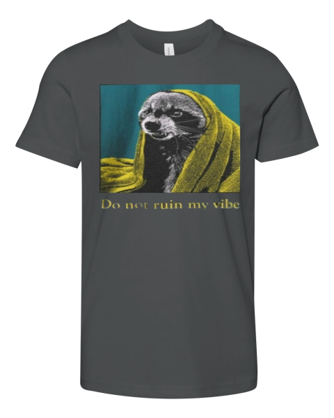 Do Dot Ruin My Vibe Raccoon Premium Youth T Shirt