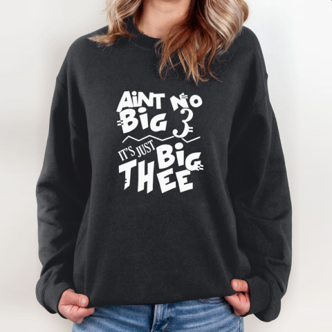 Aint No Big 3 It039S Just Big Thee Sweatshirt
