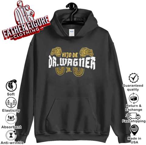 El Hijo Del Dr Wagner Jr Aaa Superstar Logo Hoodie
