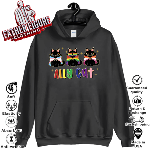 Ally Cat Rainbow Lgbt Pride Flag Gay Pride Month 2025 Hoodie